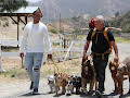 Cesar Millan: Better Human Better Dog - Bessere Menschen, bessere Hunde