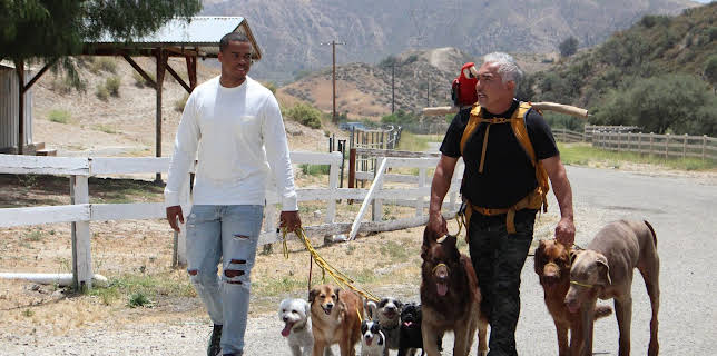06:35: Cesar Millan: Better Human Better Dog - Bessere Menschen, bessere Hunde | Sixx | 2/22 2026