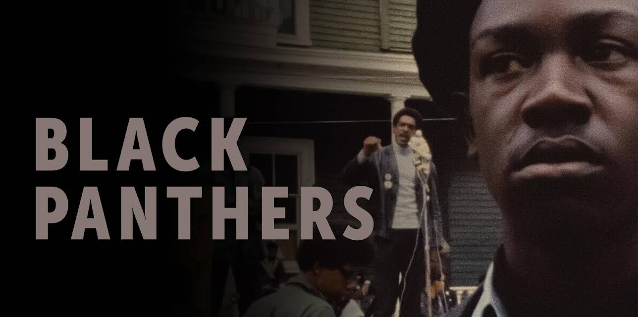 Black Panthers (2015)