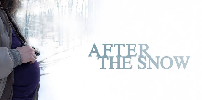After The Snow (2011)