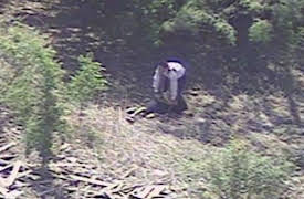 Cops Uncut: Episode 14