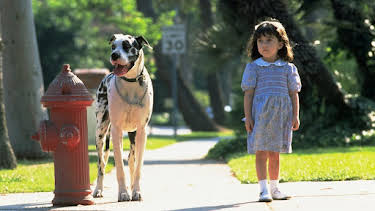 10:00 PM: Matilda | Sky Family | 8/23 2026