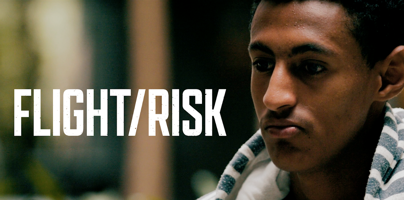 Flight / Risk (2022)