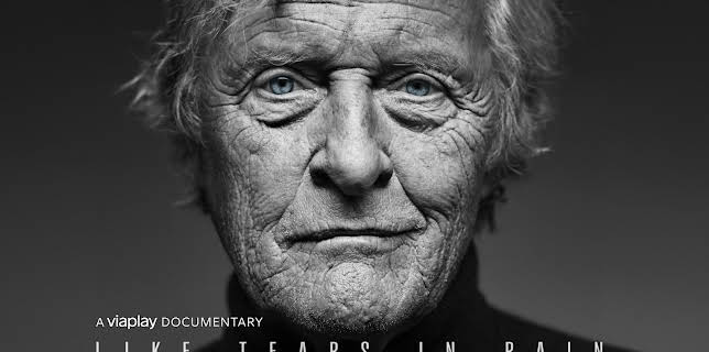 Like Tears In Rain (2023)