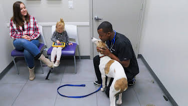 13:05: The Vet Life (S3 E2) (S3) | Animal Planet | 4/9 2026