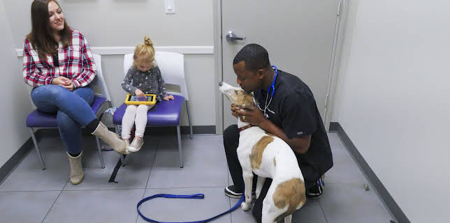 02:15: The Vet Life (S3 E2) (S3) | Animal Planet | 12/24 2025