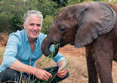 Gordon Buchanan: Elephant Family & Me