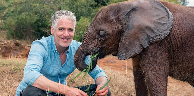 4:15 PM: Gordon Buchanan: Elephant Family & Me | BBC Two | 12/9 2025