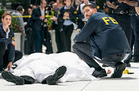 FBI Season 1: Crossfire