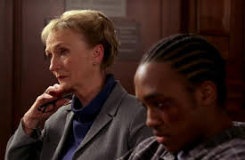 The Guardian Season 1: The Beginning