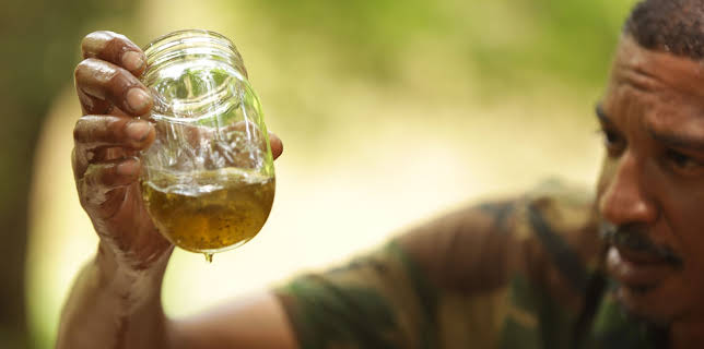 06:25: Moonshiners (S11 E5) (S11) | Discovery Channel | 12/18 2025