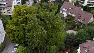 05:45: Die magische Welt der Bäume - Die Eiche | 3SAT | 4/22 2026