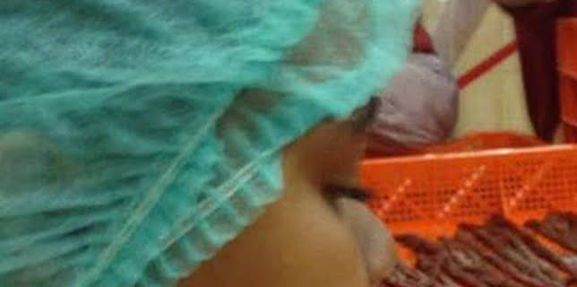 21:30: ¿Cómo lo hacen?: Episodio 15 | Discovery Max | 12/11 2025