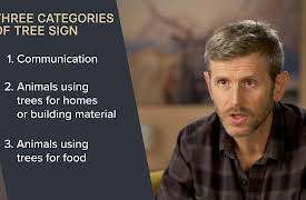 Nature Watching: How to Find and Observe Wildlife: Trees and Life: Food, Homes, and Communication