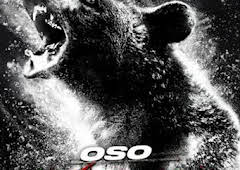 Oso vicioso