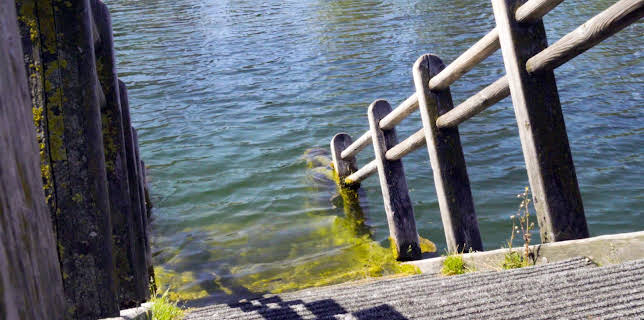 03:10: Wiener Wässer (3/3) | 3SAT | 2/13 2026