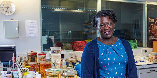 4:40 AM: Natural History Museum: World of Wonder (S1 E3) (S1) | Channel 5 | 11/9 2025