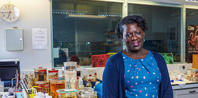 Natural History Museum: World of Wonder