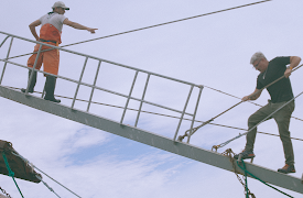 Wild capture: Wild Catch 5