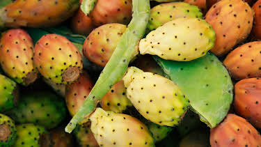 10:00: Hvordan den lages (S25 E25) (S25) | Discovery Science | 4/26 2026