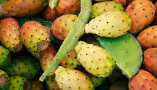 Hvordan den lages (S25 E25)