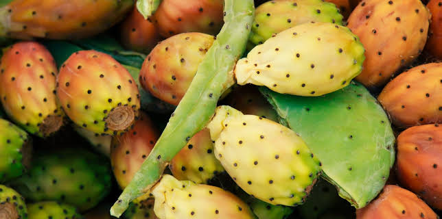 21:50: Hvordan den lages (S25 E25) (S25) | Discovery Science | 11/13 2025