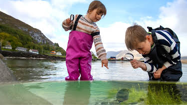 12:25: Skattejakt i fjæra: Usynlege småkryp | NRK Super | 4/14 2026