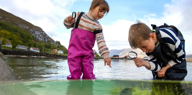 10:35: Skattejakt i fjæra: Usynlege småkryp | NRK Super | 11/28 2025