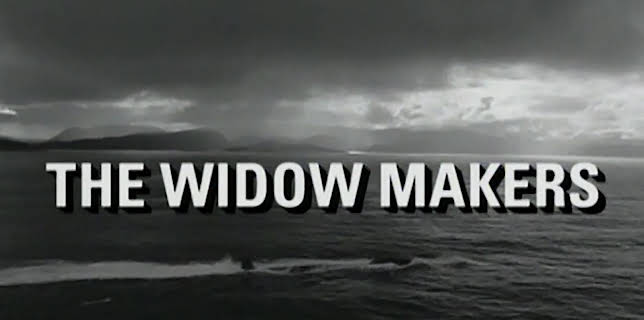 The Widow Makers (1994)