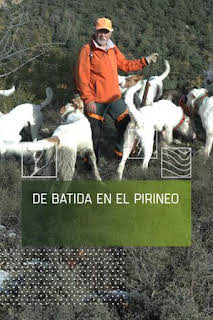 20:00: De batida en el pirineo | Caza y Pesca | 7/14 2026