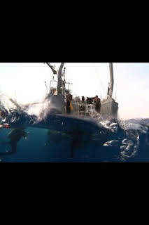 14:00: El ataque secreto de Hitler a los Estados Unidos | National Geographic | 3/31 2026