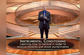 The Learning Brain: Unconscious, Implicit Learning