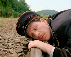 Die Vertreibung der Elefanten