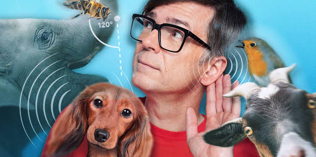 09:00: Quarks: Geheime Sprache der Tiere - wie wir sie besser verstehen können | HR Fernsehen | 1/9 2026