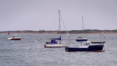 10:20: Antiques Road Trip (S25 E4) (S25) | TV8 | 4/6 2026