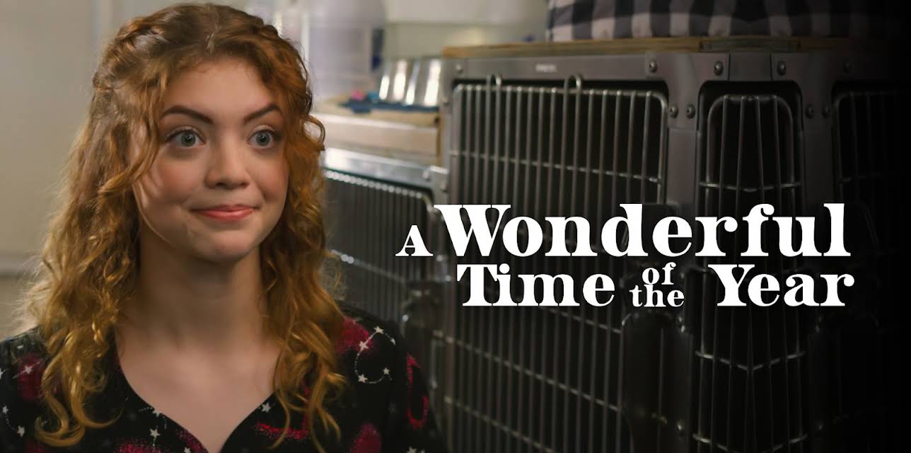 A Wonderful Time of the Year (2022)