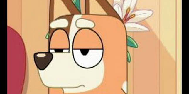 13:10: Bluey (T2): Ep.12 Geco pegajoso | Disney Junior | 1/12 2026