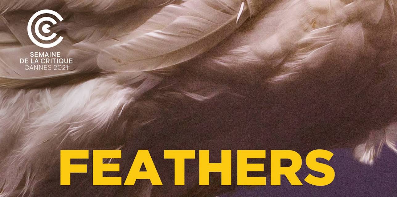Feathers (2023)