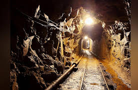 Critical Business Skills for Success: Reducing Risk, Building Resilience