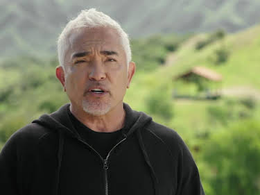 15:40: Cesar Millan: Better Human Better Dog - Bessere Menschen, bessere Hunde | Sixx | 5/10 2026