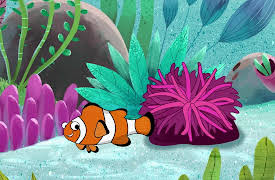 I'm a Fish: I'm a Clown Fish
