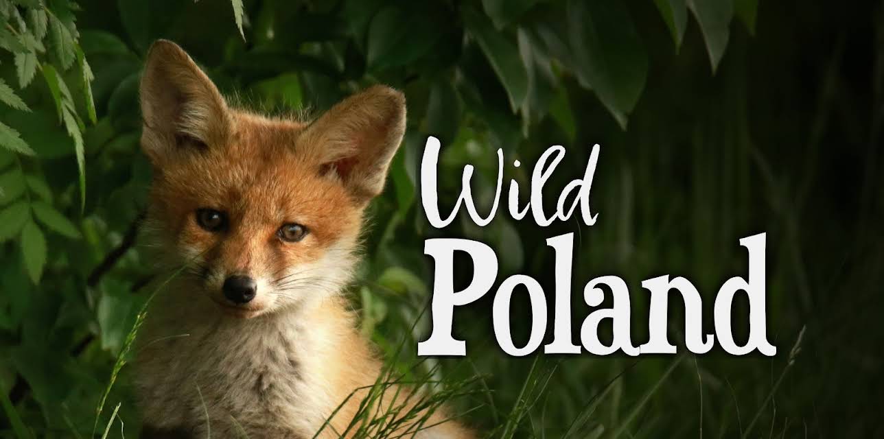 Wild Poland (1965)