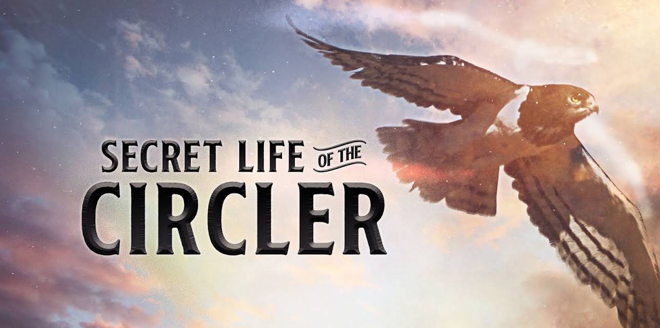 Secret Life of the Circler (2013)