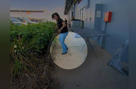 Snake Boss Season 1: A Sorry Tail