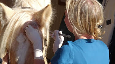 11:00 AM: Dr. Jeff: Rocky Mountain Vet (S3) | Discovery Channel | 7/11 2026