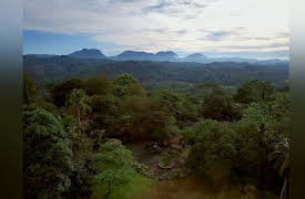 Mine Hunters Season 1: King Sapphire