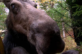 Grave Mysteries Season 1: Mister Wrong