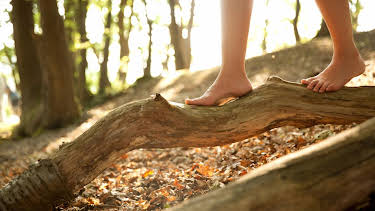 11:40: aktiv und gesund | SWR Fernsehen BW | 5/5 2026