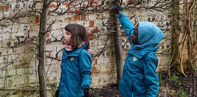 4:00 PM: Ranger Hamza's Eco Quest | Cbeebies | 3/15 2026