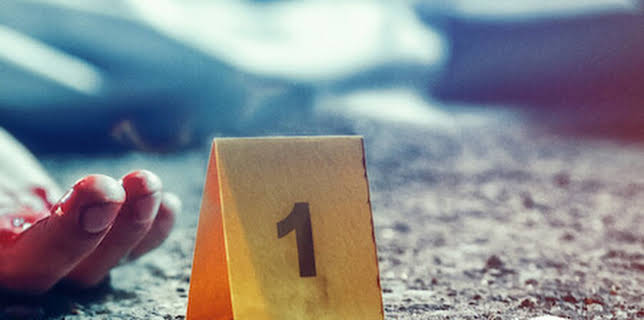 The Playing Card Killer